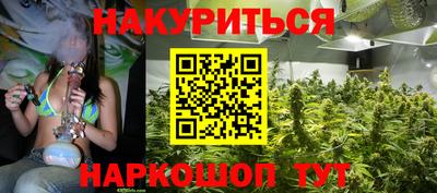 сатива Гусиноозёрск