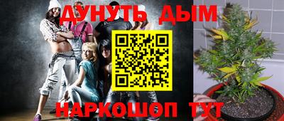 сатива Гусиноозёрск