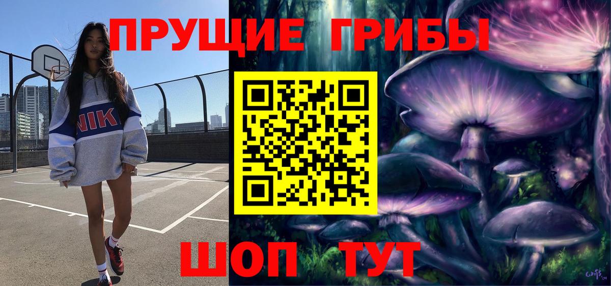Галлюциногенные грибы Psilocybine cubensis  Вход с VPN  Михайловск 