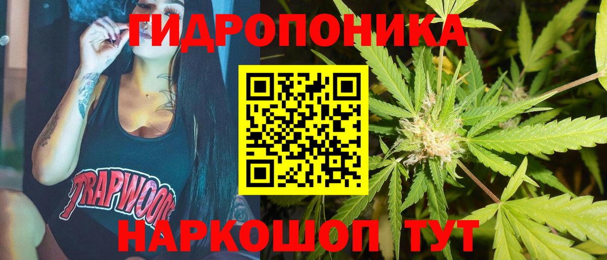 Конопля THC 21%  Вход с VPN  Михайловск  Бошки марихуана индика  Бошки марихуана план 